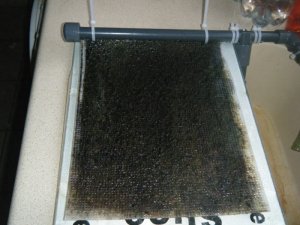 Algae scrubber 12